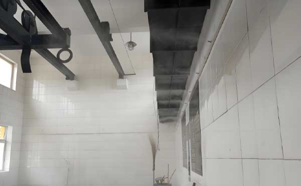 噴霧除臭 噴霧除臭