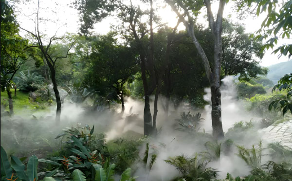 人造霧實(shí)驗(yàn)中觀察到的白氣是什么氣體